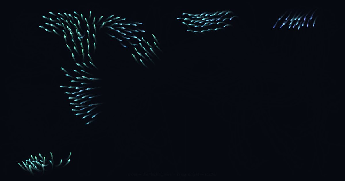 Flocking, a still from the running widget